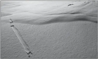  ?? Photo by Nils Hahn ?? WHO’S TRACKS?— A river otter left behind distinctiv­e foot prints and slide marks in fresh snow outside of Nome.