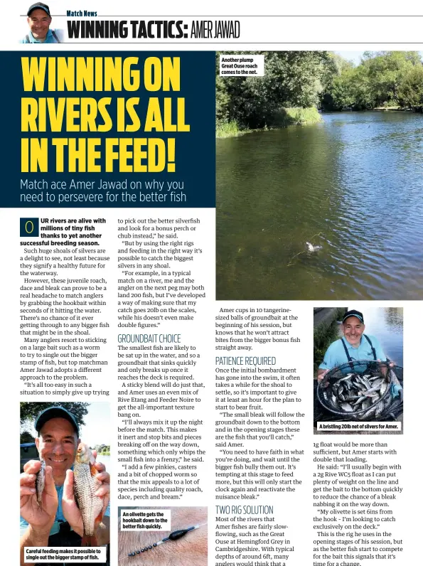  ??  ?? Careful feeding makes it possible to single out the bigger stamp of fish.An olivette gets the hookbait down to the better fish quickly. Another plump Great Ouse roach comes to the net. A bristling 20lb net of silvers for Amer.