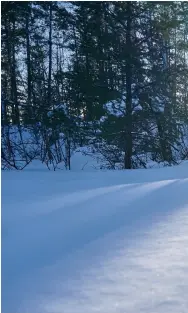  ??  ?? previous The location of the proposed Authier lithium mine above Rodrigue Turgeon (right) on a new trail the Comité has made across the esker