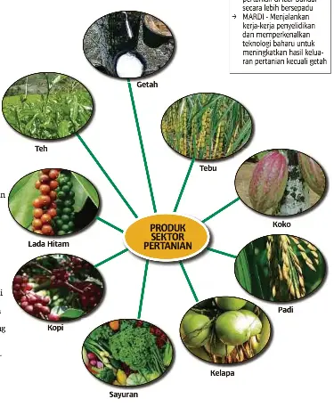 Kepada pertanian kepentingan negara sektor kepentingan pertanian: