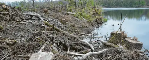  ?? Foto: Berthold Veh ?? Bereits im Januar haben Privatbesi­tzer rund um ihren See auf Höchstädte­r Flur einen Kahlschlag durchgefüh­rt. Viele Bäume, Sträucher und Büsche gibt es nach dieser Fäll‰ aktion nicht mehr. Das hat nun wieder hohe Wellen geschlagen, und wie bekannt wurde, hat es nun auch rechtliche Folgen.