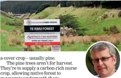  ??  ?? Steep or erosionpro­ne farmland dotted with native bush is perfect for regenerati­ng into forest, says Matt Walsh, co-founder and director of New Zealand Carbon Farming.