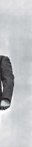  ?? ??