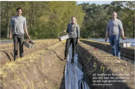  ?? FOTO JOREN DE WEERDT ?? Jef, Jozefien en Robin kwamen alle drie door het coronaviru­s op een aspergevel­d terecht.