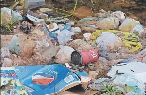  ?? COLIN MACLEAN/JOURNAL PIONEER ?? This is just some of the trash along the Emery Road in Linkletter.