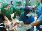  ?? SEPTINDA AYU/JAWA POS ?? DIPISAH: Tim dokter dari RSUD dr Soetomo merawat bayi kembar siam Khalisa-Khanisa sebelum operasi pada Rabu lalu.