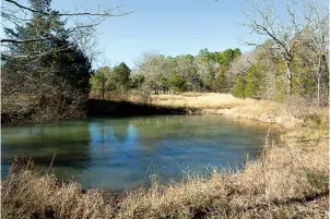  ?? The Sentinel-Record/Corbet Deary ?? ■ The trail through the Mauldin property runs alongside a small stock pond, lending to a great opportunit­y to stop, enjoy the scenery and possibly watch wildlife going about its everyday rituals.