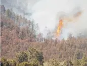  ?? ?? Trees ignite as a wildfire spills down a mountainsi­de Wednesday near Ruidoso, New Mexico. Two people have died in the wildfire.