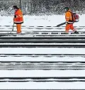  ??  ?? Stály i vlaky. Přívaly sněhu, který padal na Šumavě, komplikova­l dopravu v okolí Železné Rudy na Klatovsku. Mimo provoz byla například trať mezi Špičákem a Alžbětínem. Počasí omezilo dopravu i na Liberecku. Spadlý strom nedaleko železniční stanice v...