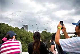  ?? Eli Imadali/Austin American-Statesman/TNS ?? People watch bats fly from under the South Congress bridge during the 15th annual Bat Fest on Aug. 24, 2019, in Austin.