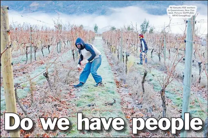  ??  ?? Ni-Vanuatu RSE workers in Queenstown, New Zealand. Picture: SUPPLIED/ MFAT/SmugMug)