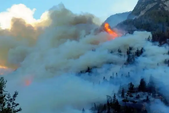  ?? Senza precedenti ?? Una foto dell’incendio che ha coinvolto una vasta area di bosco sulle pale di San Lucano mercoledì scorso