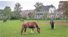  ?? RP-FOTO: HANS-JÜRGEN BAUER ?? Haus Bürgel im Ortsteil Baumberg ist bereits ein attraktive­s Ziel für Touristen. Es soll weiter ausgebaut werden.