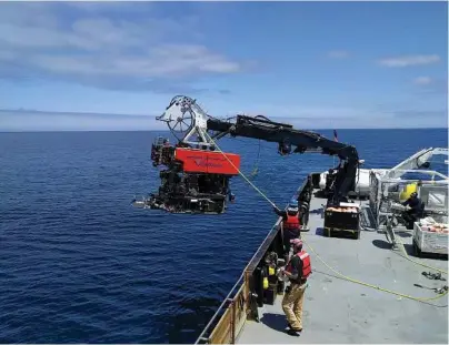  ?? Monterey Bay Aquarium Research Institute photos via The New York Times ?? A crew deploys a deep-sea instrument, ROV Ventana, used to observe wildlife. After studying decades of video footage captured by robotic submersibl­es, the Monterey Bay Aquarium Research Institute has figured out some basics of the deep ocean’s food web.