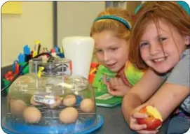  ??  ?? Kids were happy to participat­e in an embryology project at Makefield Elementary School.