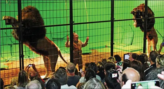  ??  ?? Doing tricks for the audience: As the keeper brandishes two long sticks, lions stand on their hind legs as the crowd takes photos