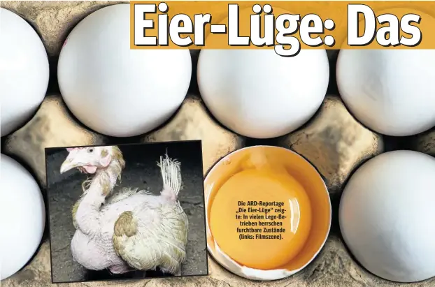  ??  ?? Die ARD-Reportage „Die Eier-Lüge“zeigte: In vielen Lege-Betrieben herrschen furchtbare Zustände (links: Filmszene).