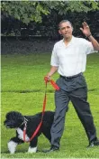  ?? FOTO: GARY FABIANO/DPA ?? Barack Obama mit Hund Bo vor dem Weißen Haus.