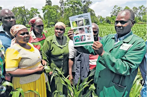  ??  ?? Lukas Wekesa, a plant doctor, shows a document depicting damage on maize caused by Fall Army Worms, pictured left, during a training course for farmers in the town of Vihiga