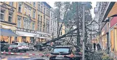  ?? RP-FOTO/ARCHIV: C. SCHUG ?? Im Oktober 2016 stürzte an der Lorettostr­aße der 20-Meter hohe Baum auf die Straße.