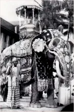  ??  ?? Raja parading the streets of Kandy