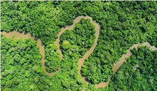 The Congo Basin doesn’t absorb greenhouse gases in the same way as ...
