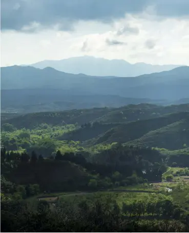  ??  ?? El vasto escenario natural en Pampa Grande, desde el punto más alto de esta estancia de 30 mil hectáreas. A la derecha:
Toros de dos años de edad durante la selección para la castración en Pampa Grande.