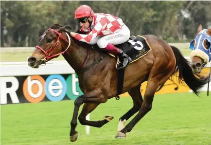  ?? PHOTO: JC Photos. ?? DOUBLE. Celtic Lady, pictured beating Burgundy Rose over 1000m at the Vaal last time, could defy a penalty when she meets that same horse in Race 9 at the Vaal Classic meeting tomorrow.