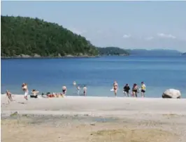  ??  ?? DEBATT: Anders Larsen mener det er uhygiensk og udelikat at hundeeiere lar hundene bade på Roresanden.