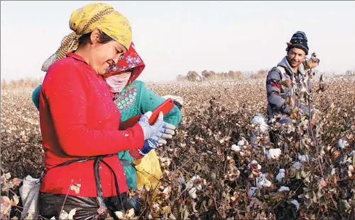  ?? PHOTOS BY PENG YINING / CHINA DAILY ?? Cotton farmers check a smartphone in Aksupa village, the Xinjiang Uygur autonomous region. Eighty percent of the villagers now own high-tech devices, such as computers and smartphone­s.