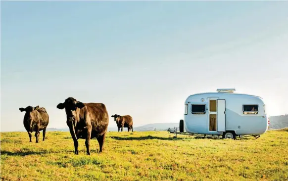  ?? PHOTO: CONTRIBUTE­D ?? GREENER PASTURES: Lilah, the vintage Sunliner caravan that will be home for photograph­ers Sid Coombes and Callena Brenchley as they explore and capture the essence of rural and regional Australia.