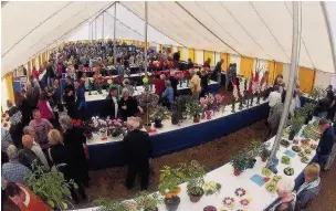  ??  ?? ●● Dozens of visitors enjoyed last year’s Sutton Flower and Vegetable Show