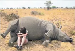  ?? Charles Theron ?? LYNNE MacTAVISH weeps over a rhino lost to poachers in 2014 on her South African game reserve. She decided to dehorn her other rhinos “because you cannot bear the thought of any other rhino going through that” experience.