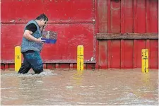  ?? WALLY SKALIJ TNS ?? Herbeto Estrada rescues his two birds from his home along Salinas Road in Pajaro, Calif., on Tuesday.