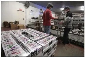  ?? (NWA Democrat-Gazette/J.T. Wampler) ?? Tracy Goff (left) and Arri Franck load variety packs of hard seltzer Wednesday at Core Brewing in Springdale.