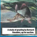  ??  ?? A study of grayling by Bernard Venables, up for auction.