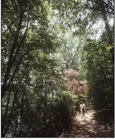  ?? Arkansas Democrat-Gazette file photo ?? Pond Creek National Refuge, 55 miles north of Texarkana, consists of oxbow lakes, bayous, and cypress breaks.