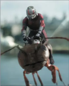  ??  ?? Paul Rudd as Scott Lang/Ant-Man riding the wasp in