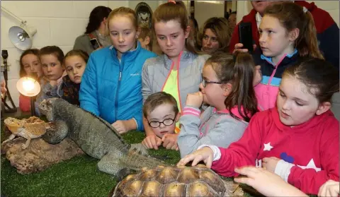  ??  ?? Kids having fun with the wild animals at the open day at O’Shea and Bramley Veterinary Hospital on Wednesday afternoon.