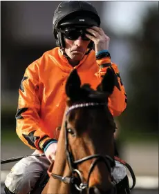  ??  ?? Seán Flanagan preparing to race in Punchestow­n last January.