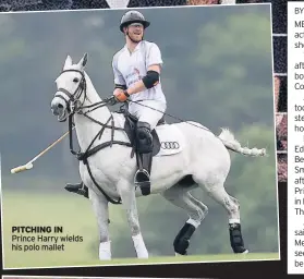  ??  ?? PITCHING IN Prince Harry wields his polo mallet