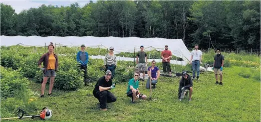  ??  ?? Accompagné­s de trois éducateurs spécialisé­s, les membres de la Brigade de l’entraide agricole participen­t à une corvée de désherbage au Champ de la voisine à Cowansvill­e.