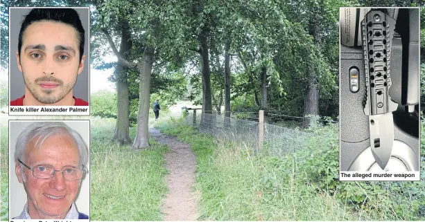  ?? Pictures: JONATHAN TENCH/NORFOLK POLICE ?? Knife killer Alexander Palmer Pensioner Peter Wrighton The alleged murder weapon Mr Wrighton was stabbed to death as he walked his two pet dogs at The Heath near his home in East Harling, in Norfolk