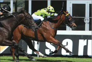  ?? LIESL KING ?? Sir Frenchie and Grant van Niekerk get up in the last stride to beat Bold Respect in the Fairview Wines Sophomore Sprint at Kenilworth on Saturday. /