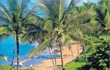  ?? Irene Lechowitzk­y ?? THE BEACH and all its attraction­s — from sunning to swimming to strolling — is a favorite distractio­n in Wailea, Hawaii.