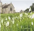  ?? ?? Snowdrops in the grounds of St George’s Church in Damerham, Hampshire