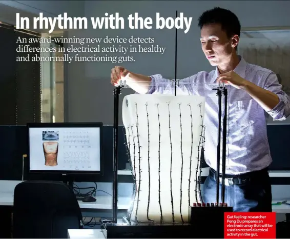  ??  ?? Gut feeling: researcher Peng Du prepares an electrode array that will be used to record electrical activity in the gut.