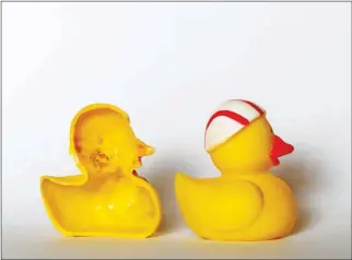  ?? ASSOCIATED PRESS ?? THE MARCH 2018 PHOTO shows the inside of a rubber duck after it was cut open for the photo in Nauen, Germany. Swiss researcher­s now say the cute, yellow bath-time friends harbor a dirty secret: microbes swimming inside.