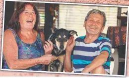  ?? Picture: Glenn Campbell ?? Cosmo the dingo/ kelpie cross was returned by Karl Brand to owner Anne O’Dwyer 10 days later.