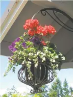  ?? DEAN FOSDICK/AP ?? Hanging baskets make for a colorful welcome as visitors come into the yard.